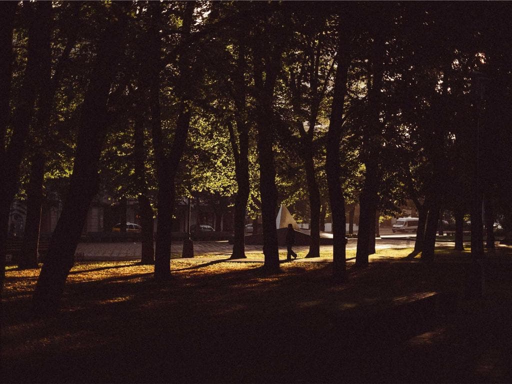 Runner stretching by the lake