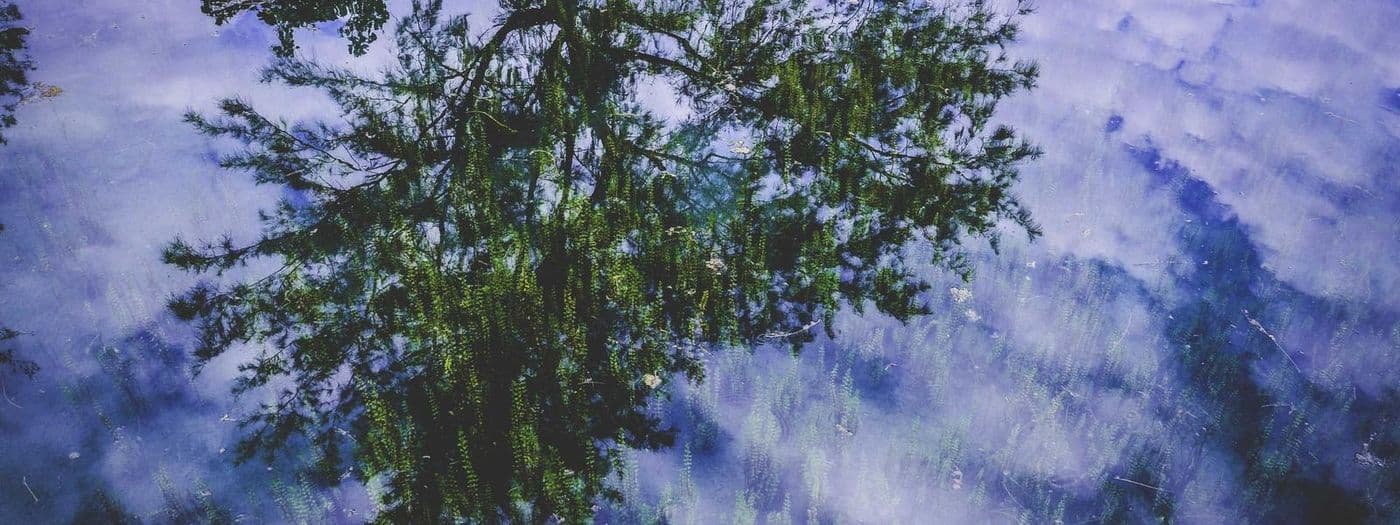 Marek Nowak — banner