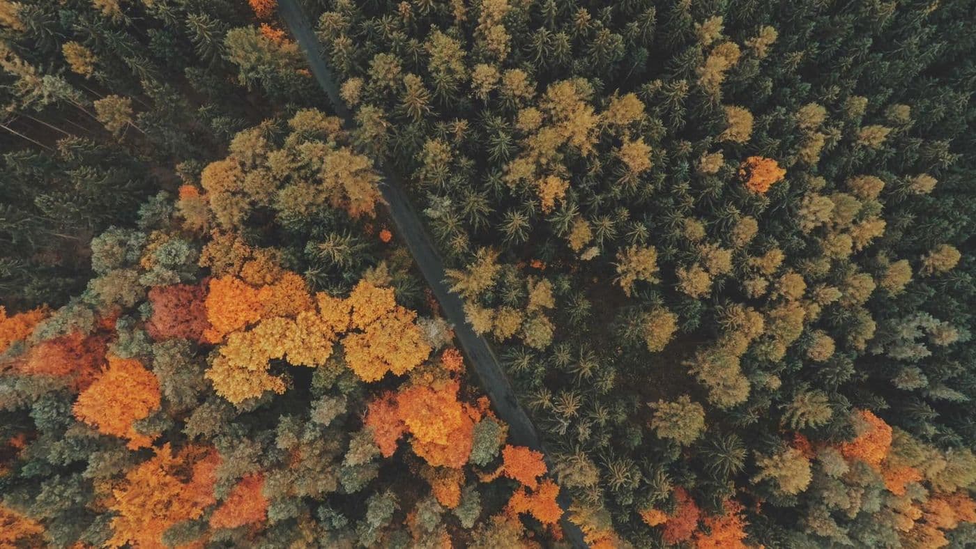 Poradniki — okładka